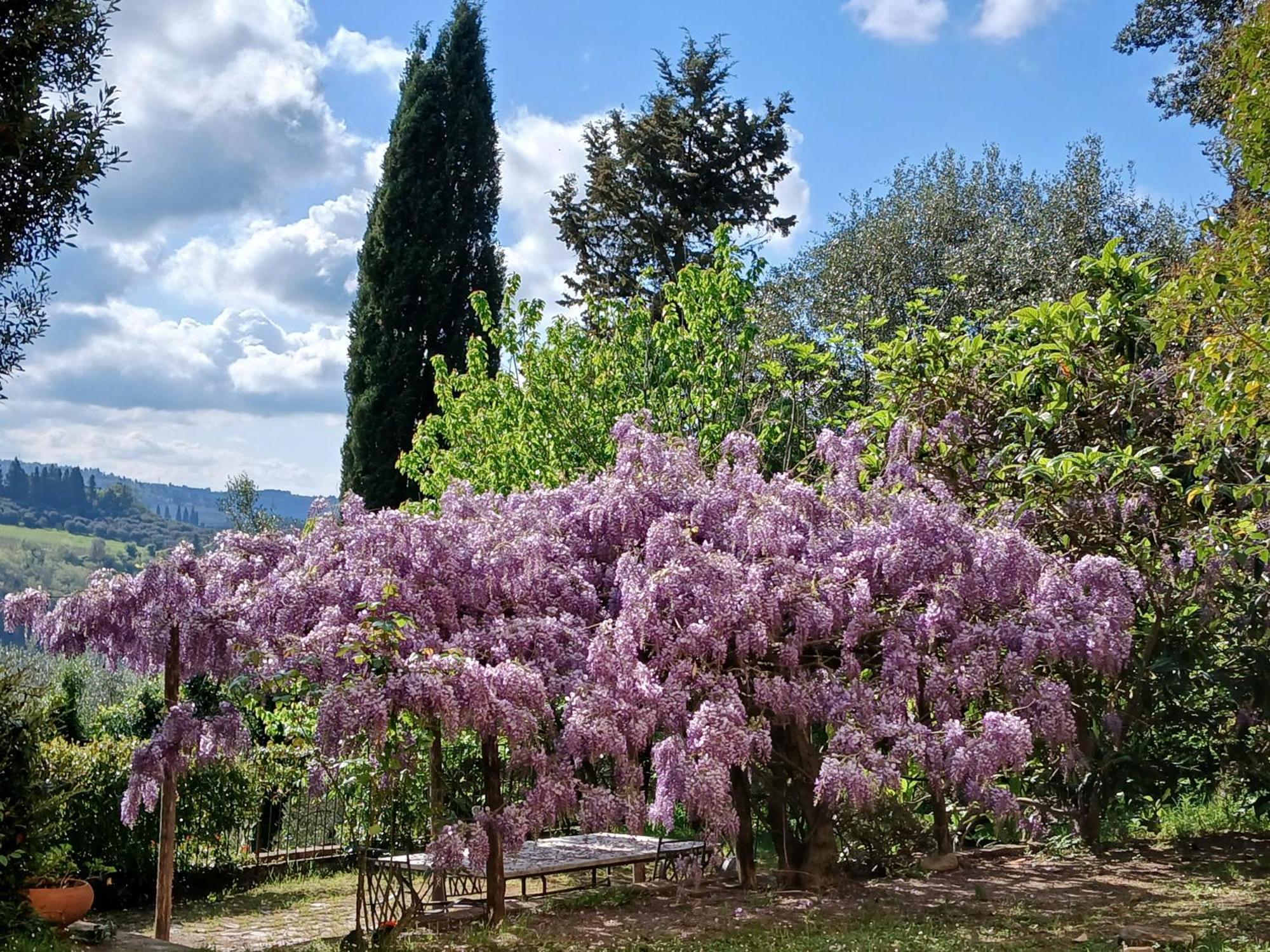 Agriturismo Villa Gorgognano Certaldo Eksteriør bilde